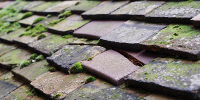 Cressington roof repair costs